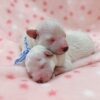 Thumbnail of new posts 077