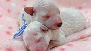 Thumbnail of post image 034