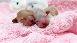 Thumbnail of post image 146