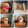Thumbnail of new posts 099