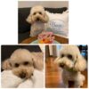 Thumbnail of new posts 164