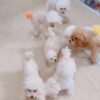 Thumbnail of new posts 081