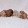 Thumbnail of new posts 019
