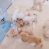 Thumbnail of new posts 128