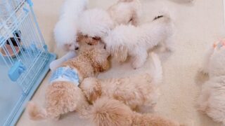 Thumbnail of post image 085