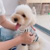 Thumbnail of new posts 092