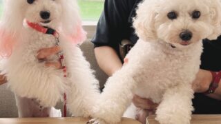 Thumbnail of post image 089