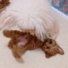 Thumbnail of new posts 137