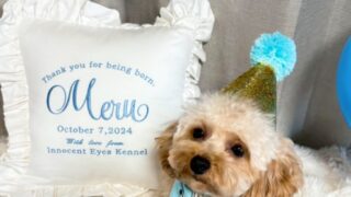 Thumbnail of post image 137