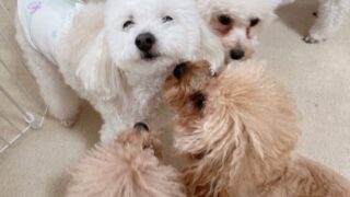 Thumbnail of post image 002