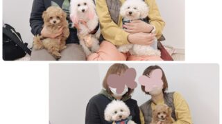 Thumbnail of post image 110