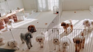 Thumbnail of post image 014