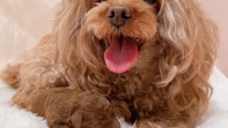 Thumbnail of post image 007