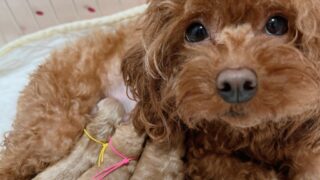 Thumbnail of post image 124