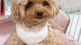 Thumbnail of post image 031