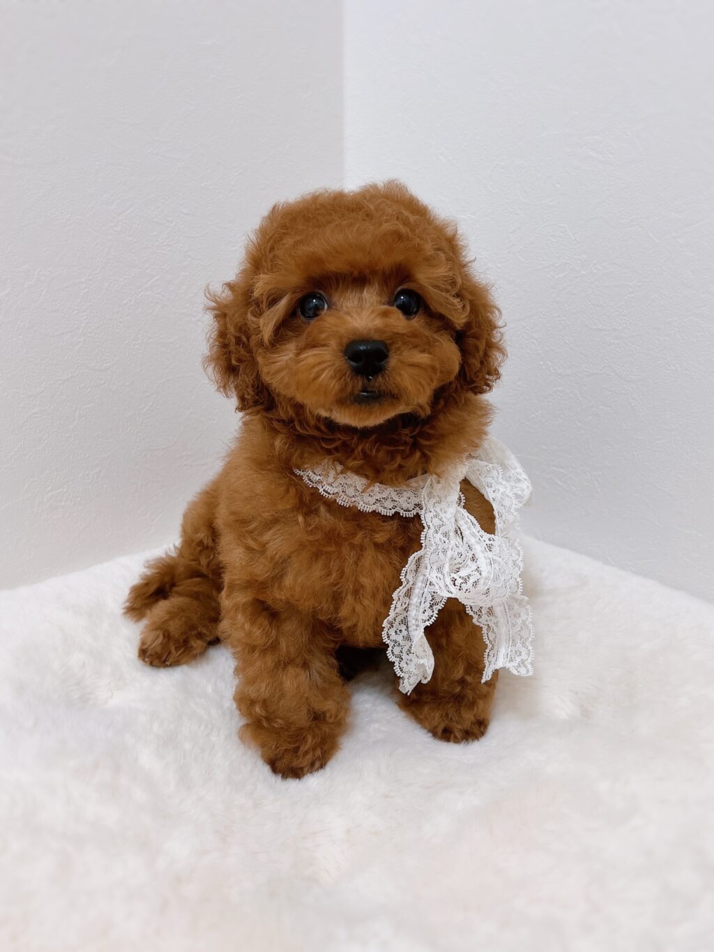 Thumbnail of post image 015