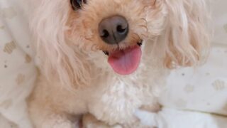 Thumbnail of post image 064