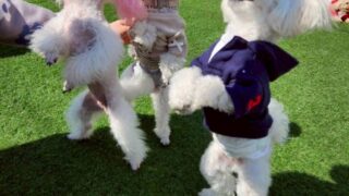 Thumbnail of post image 036