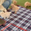 Thumbnail of new posts 022