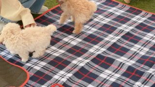 Thumbnail of post image 010