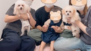 Thumbnail of post image 139