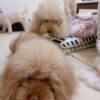 Thumbnail of new posts 046