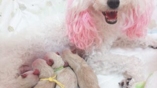 Thumbnail of post image 072