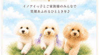 Thumbnail of post image 009