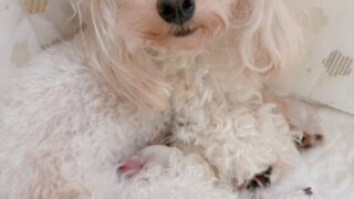 Thumbnail of post image 120